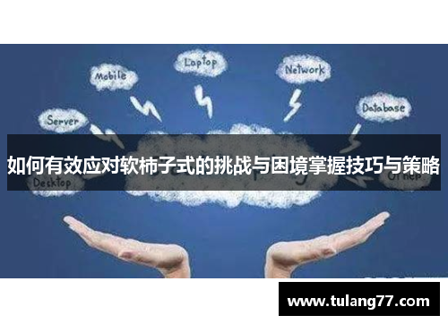 如何有效应对软柿子式的挑战与困境掌握技巧与策略