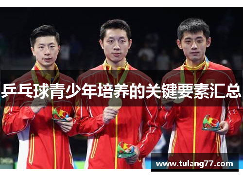 乒乓球青少年培养的关键要素汇总