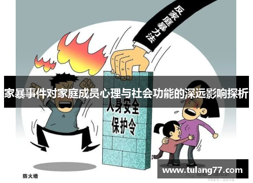 家暴事件对家庭成员心理与社会功能的深远影响探析