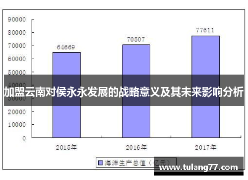 加盟云南对侯永永发展的战略意义及其未来影响分析