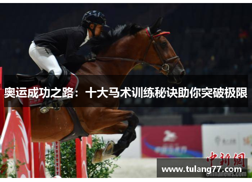 奥运成功之路：十大马术训练秘诀助你突破极限