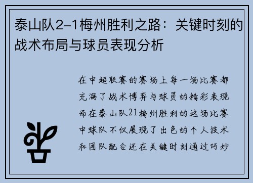 泰山队2-1梅州胜利之路：关键时刻的战术布局与球员表现分析